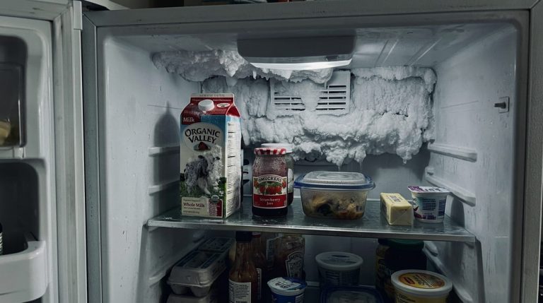 Refrigerator Freezing Food